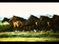 Capture de la vidéo Riders Of Rohan ~ David Arkenstone