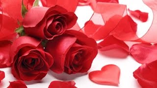 Valentine's Day Customs in America