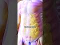 The SIMPLE &amp; EASY Way to Lose Fat in 2025