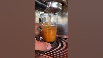 سورة غافر بصوت الشيخ محمد صديق المنشاوي رحمه الله #coffee #اكسبلور #قهوة