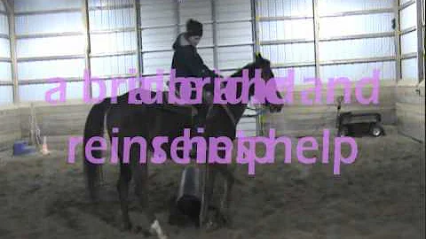 Bridle less horse back riding with LORI CONTI and ...