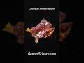 Faceting Zincite Gemstone Gems Faceting Science Crystals Gemcutting 