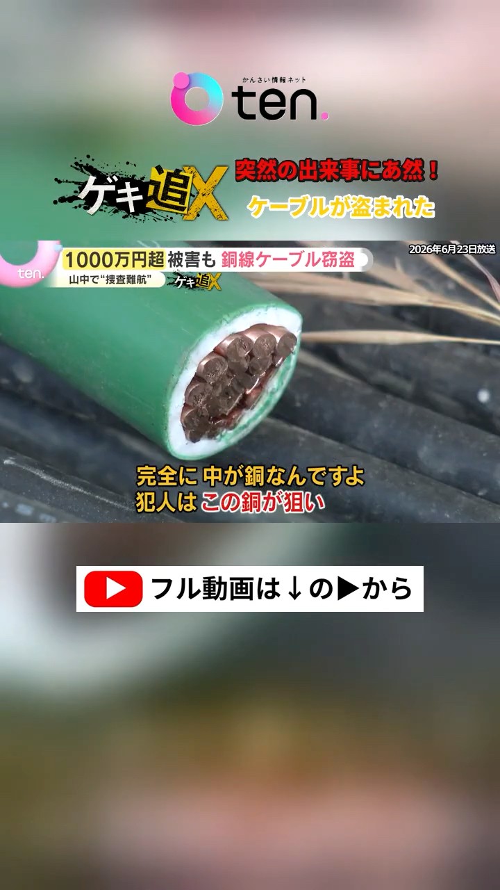 Shocking] 3,000m of copper wire stolen from solar power plant