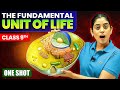 The Fundamental Unit of Life IN ONE SHOT ✅ | Class 9 Science Chapter 5 | NCERT + PYQs | Samridhi S.