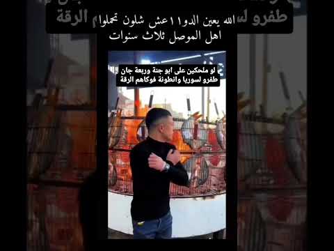 شاهد قبل الحذف عبوري القزم ترند عاجل صفحة لايك اشتراك بالقناه ليصلك كل جديد