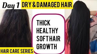 Day 1 : Dry Damaged Hair to Thick Healthy Soft Hair in 3 Days screenshot 5