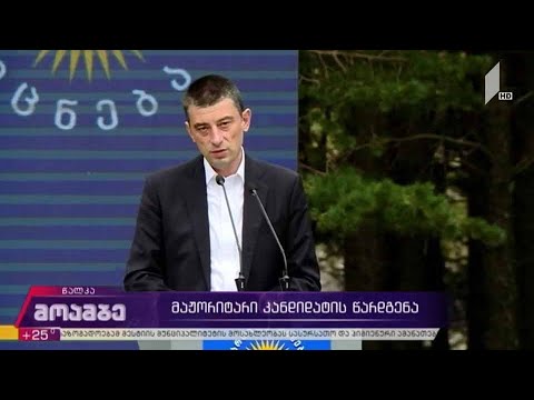 „ქართული ოცნება“ მაჟორიტარი კანდიდატების წარდგენას აგრძელებს