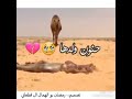 حنون ولدها حنون ولدها