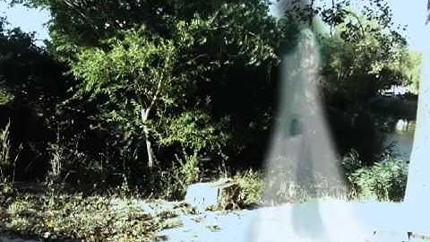 FxGuru - Ghost Bride Effect