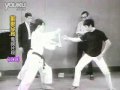 Bruce lees amazing kung fu one inch punch