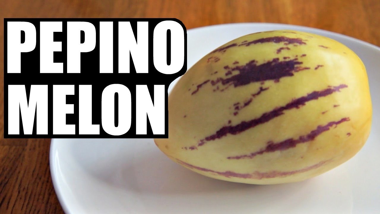 PEPINO MELON | Fruity Fruits Taste Test | emmymade