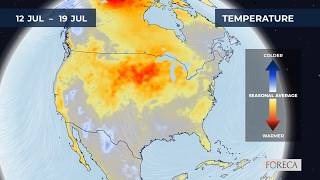 Monthly temperature forecast for the USA 7/8/2026