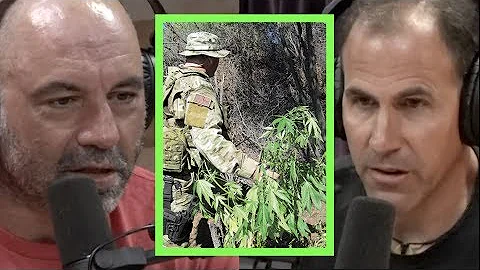 Joe Rogan | Weed Prohibition Fuels Drug Cartel Act...