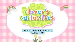 Convergent and Divergent Evolution | Clover's Curiosities