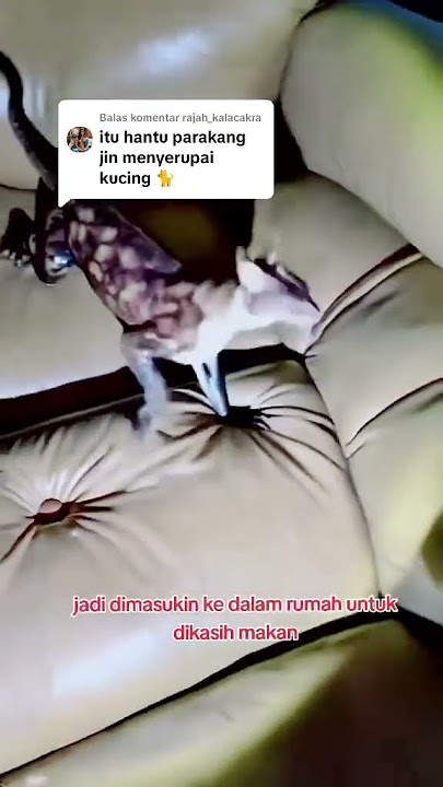 HANTU PARAKANG #viralvideo