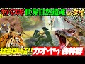 勇気があるなら、逃げた方がいい！【カオヤイ】【世界自然遺産】【絶滅危惧種】