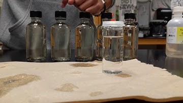Dissolved Oxygen and Primary Productivity Lab