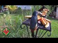 Youtube Thumbnail title