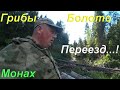 Прогулка по новым местам/Сбор грибов/Болото с клюквой