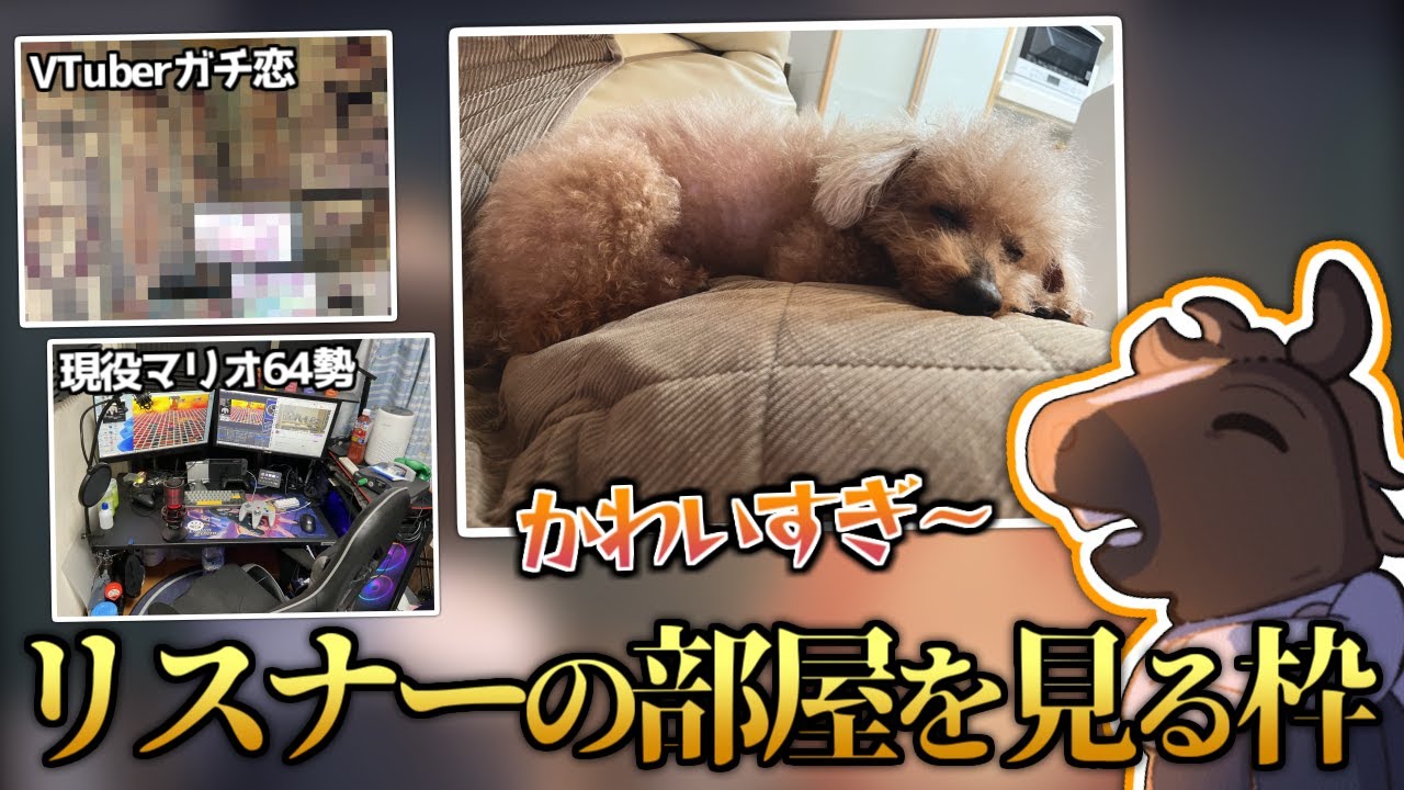 【後編】もっと個性派揃い！バトラリスナーの部屋を見る枠【2023/05/16】