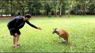 HOW TO CATCH A KANGAROO | Australian Travel Vlog - (Ep. 5)