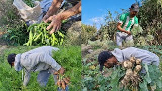 الخيرات الله من الخضر طبيعية في الريف الحسيمة 