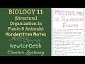 Structural Organization In Animals &amp; Plants Handwritten🖋️ Color Notes 📒 Class 11 Biology || NEET