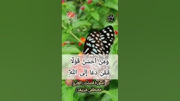 "ومن أحسن قولا ممن دعا إلى الله وعمل صالحا وقال إنني من المسلمين" تلاوة خاشعة تلاوة هادئة قران كريم