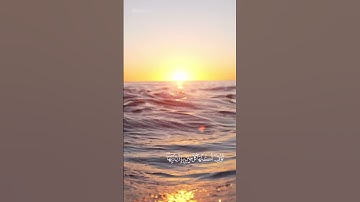 القارئ محمد اللحيدان | سورة ابراهيم - الآية 24 ، 25 | #قرآن #قرآن_كريم #اكسبلور #quran #explore