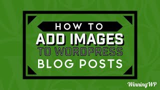 How to Add Images to WordPress Blog Posts and Pages screenshot 1