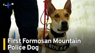 First Formosan Mountain Dog To Join Police Force | TaiwanPlus News