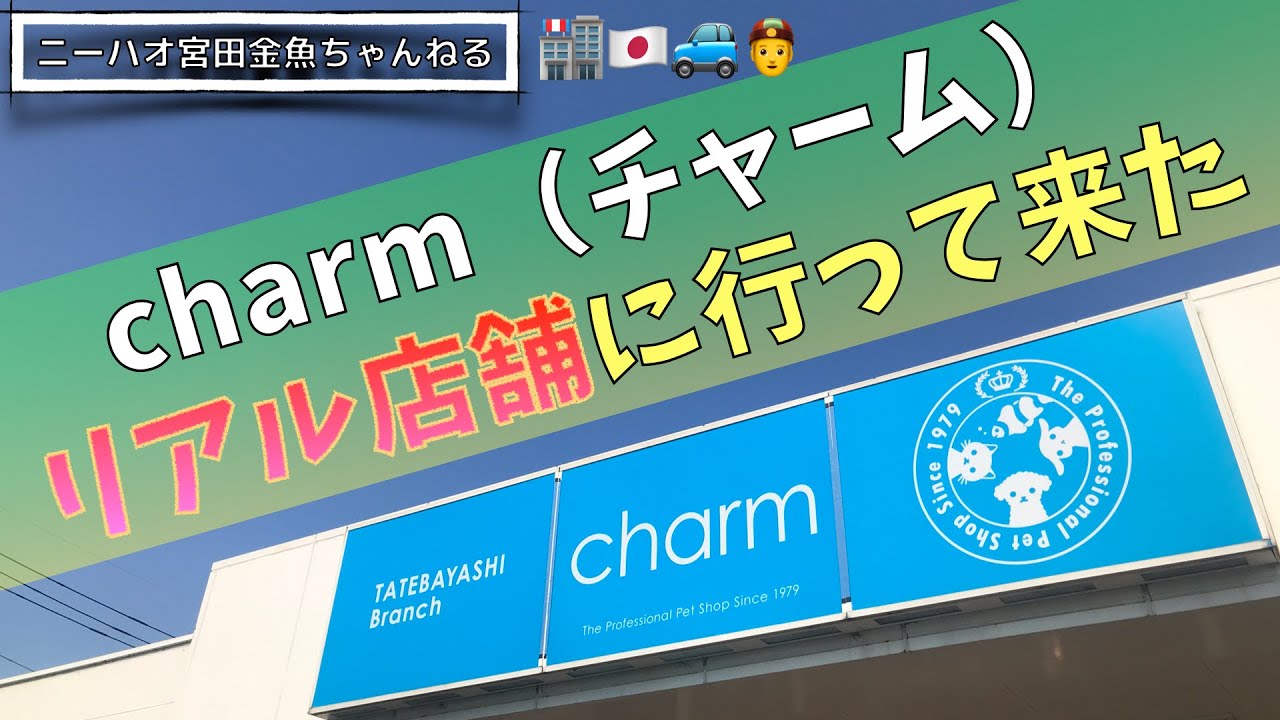 ニーハオ宮田 金魚ちゃんねる Charm チャーム リアル店舗に行って来た 群馬県館林市 館林店 Youtube