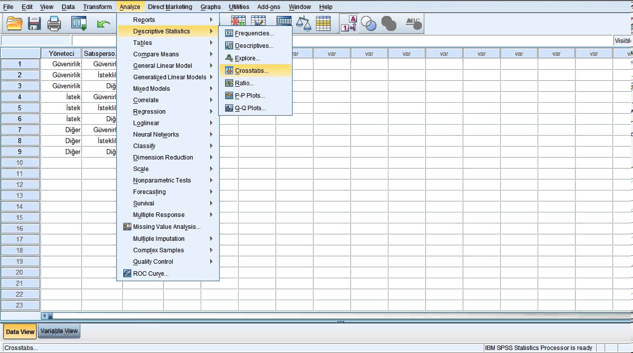 Ki kare testi spss