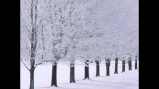 OST Tree of Heaven - Memory of Childhood