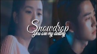 Snowdrop You Are My Destiny Fmv