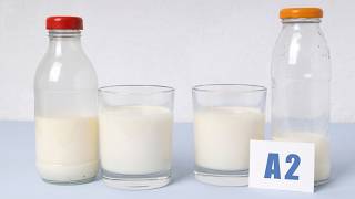 CACFP Meal Pattern Minute: A2 Milk