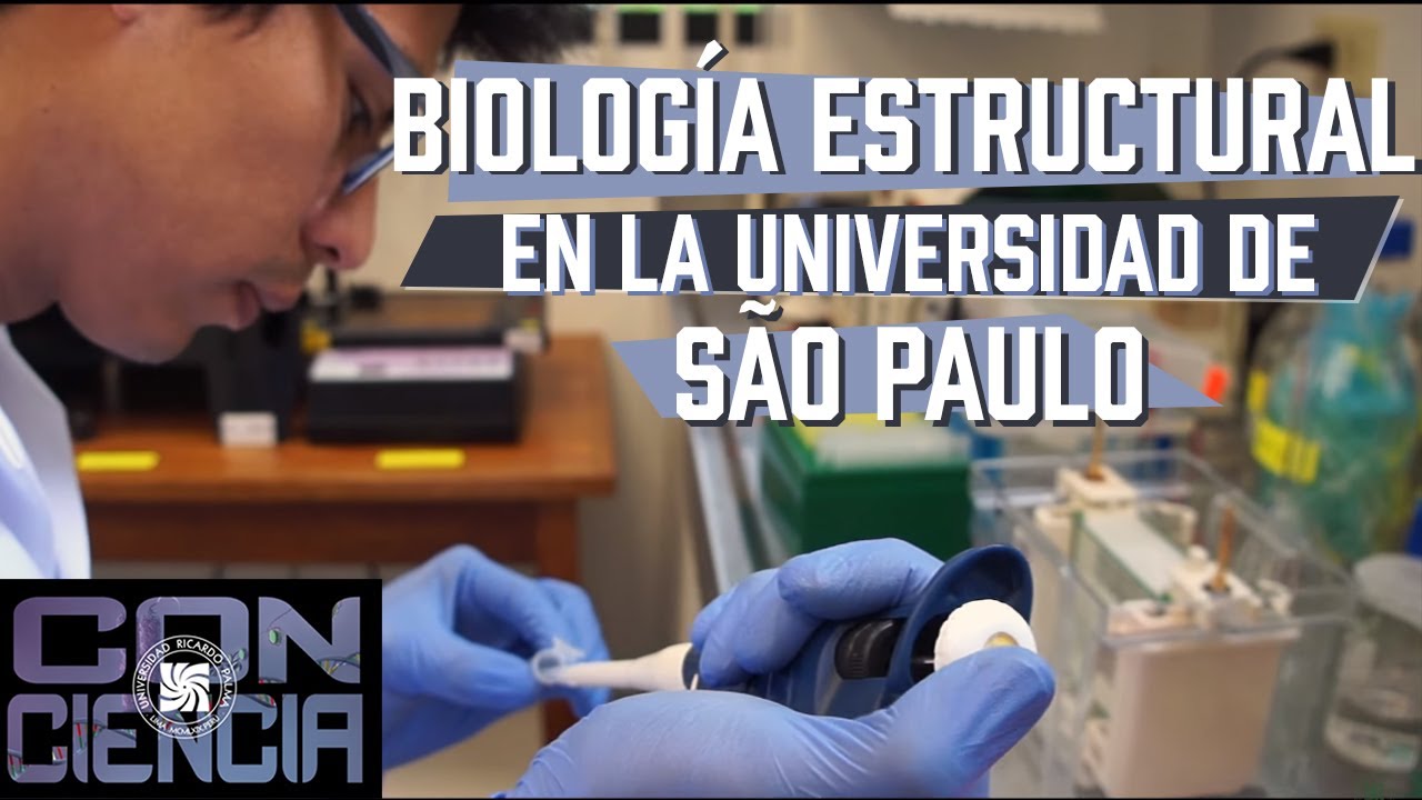 Con Ciencia: Biología Estructural en la Universidad de Sao Paulo con Santiago Justo Arévalo