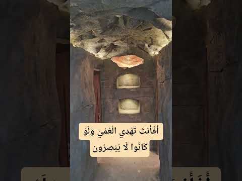 أ ف أ نت ت ه د ي ال ع م ي و ل و ك ان وا ل ا ي ب ص ر ون القرآن الكريم الحياة 