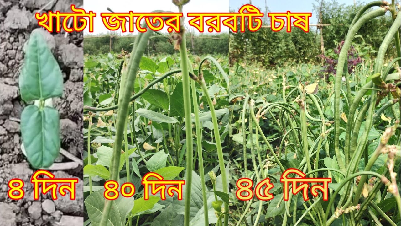 Krasnodardagi yangi trans qizlar