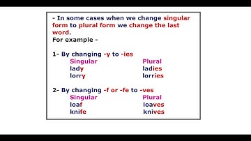 Collins English Grammar And Composition    //  Lesson - 4   //    One & More Than One