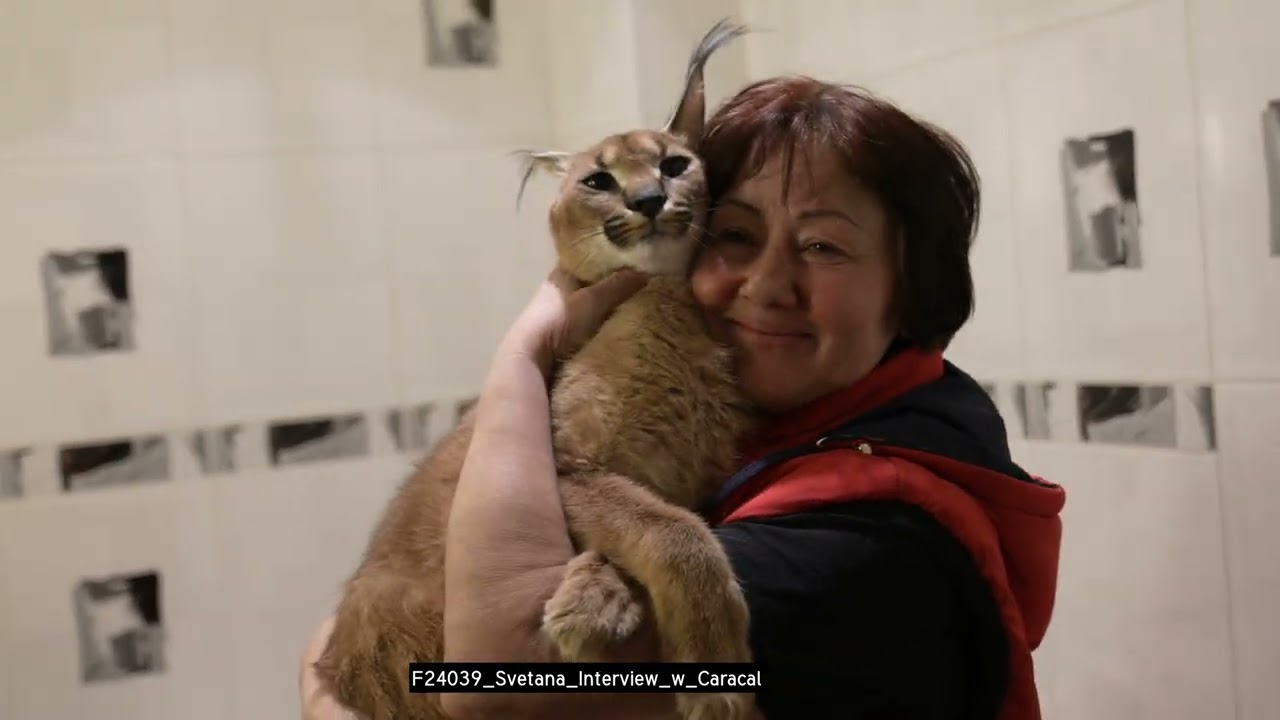 09 CARACAL STORY STRINGOUT