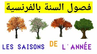 تعلم الفرنسية : فصول السنة🌳🍁 بالفرنسية مع بعض التمارين  / 🍂🍃 les saisons de l'année