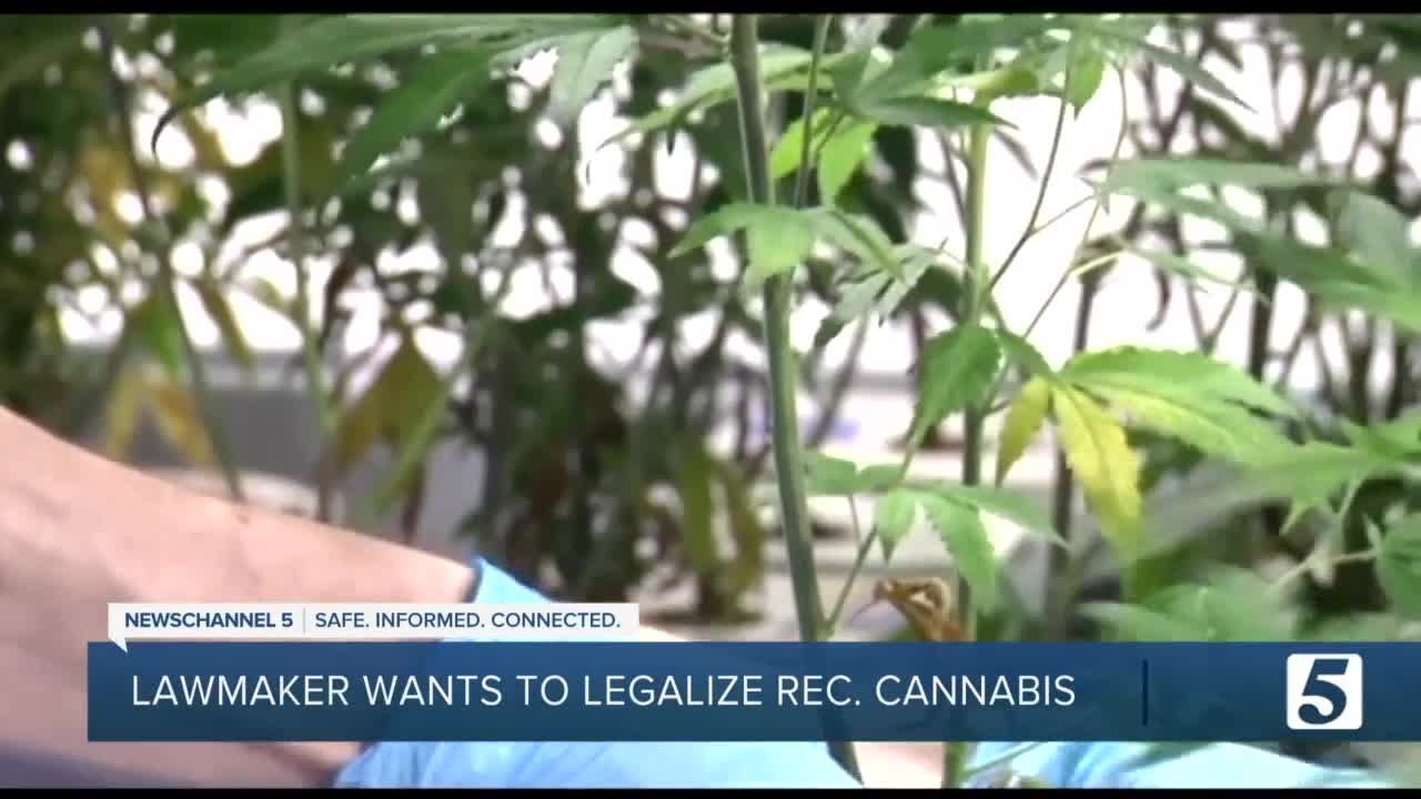 Lawmaker wants to legalize recreational cannabis in Tennessee