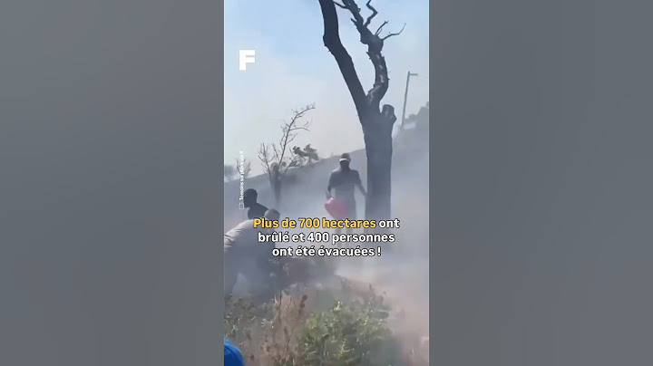 Des jeunes de Marseille aident les pompiers à éteindre le feu !