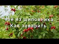 287 #Шиповниковый чай/Как заварить чай из шиповника/Несколько советов