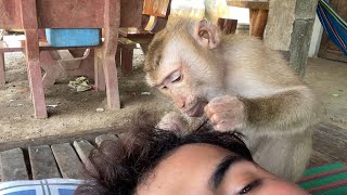 Skin Care!! Obedient Zueii Grooming Me And Remove Itchy Scalp by ZUEII MONKEY 655 views 4 hours ago 3 minutes, 34 seconds
