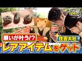 【よゐこ有野】この街、攻略しとく？住吉大社ぶーらぶら 　～まさかの人生初参拝！？行ったことなかった有野が“すみよっさん”を大冒険！の巻～