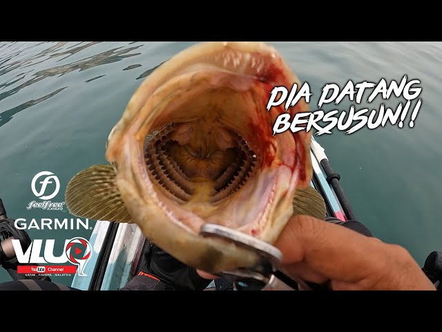 Kali ni GASAK jig!! Dia datang BERSUSUN!! - #VLUQ426 - Kayak Fishing Malaysia class=