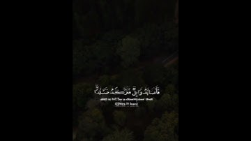 تلاوة خاشعة للقارئ عبدالرحمن ناجي بمحاكاة اللحيدان لسورة البقرة #عبدالرحمن_ناجي #محمد_اللحيدان