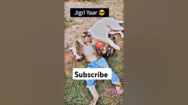 Jigri yaar 🤣 #shorts #comedy #funny